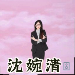 沈婉清
